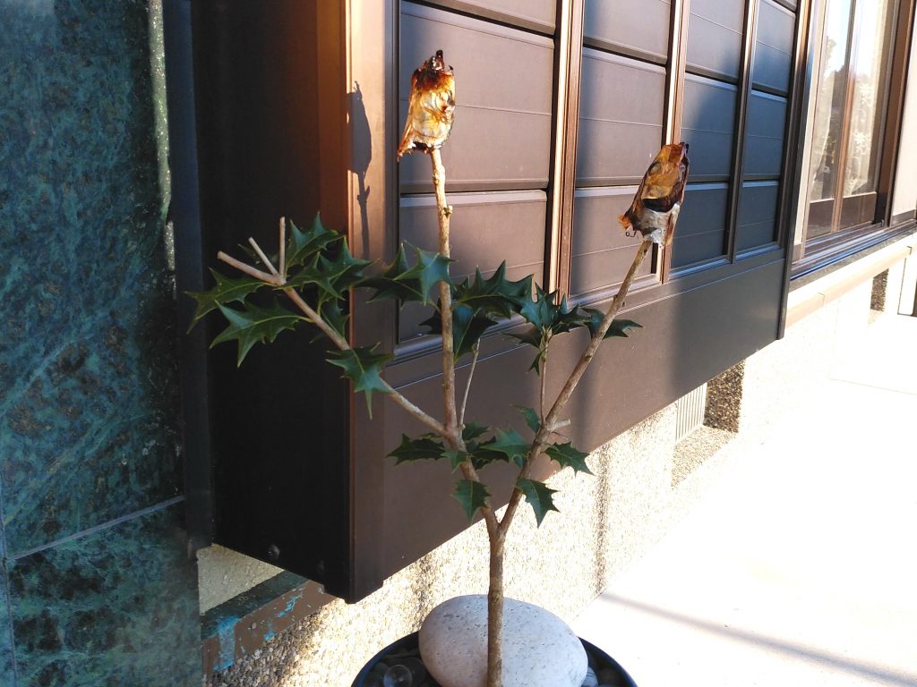 和風空間にも Estuco Wall ヨーロッパ生まれの漆喰 塗り壁材エスタコウォール