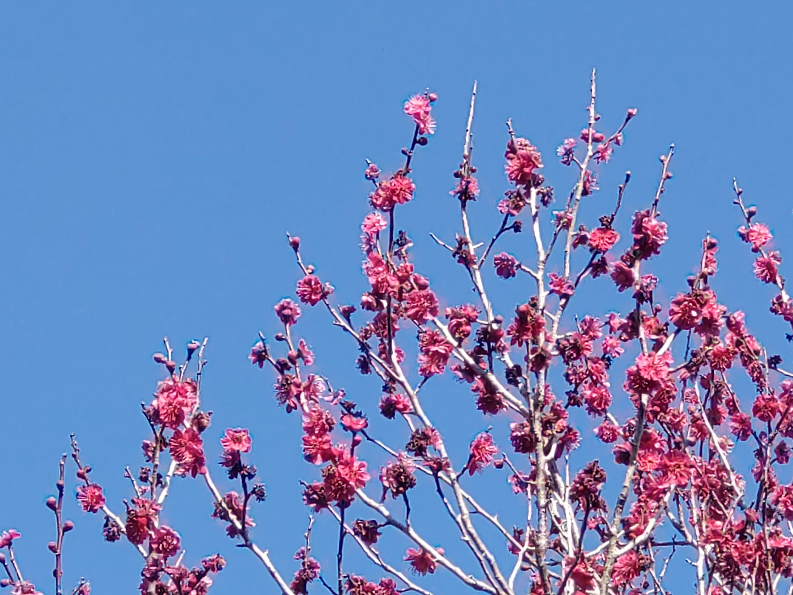 いよいよ大詰め！展示会の積み込み作業