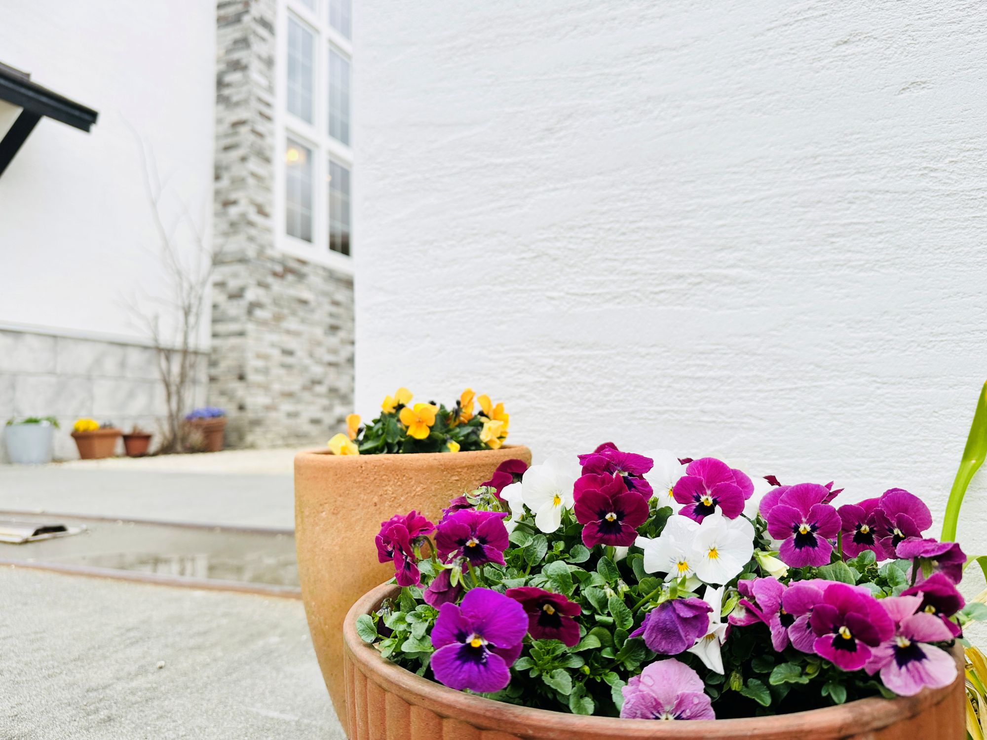 デザインも。性能も。